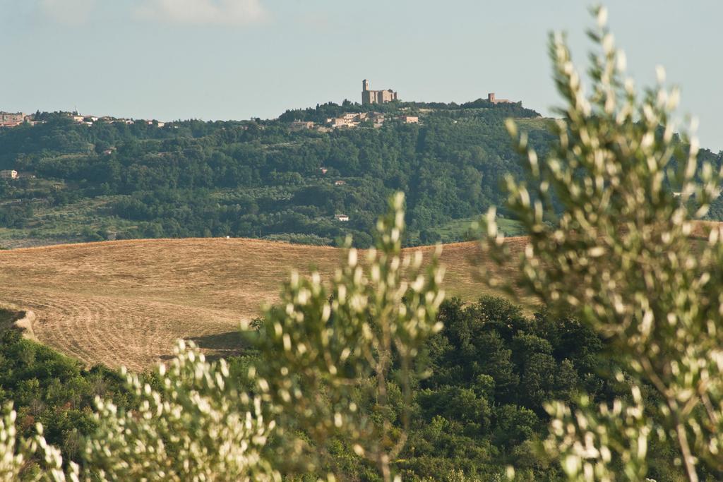 Agriturismo Podere Campaini Volterra Exterior foto